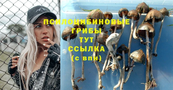 героин Алексин