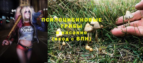 героин Алексин